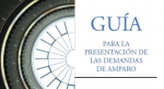 Guía para la presentación de las demandas de amparo vignette