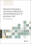 Eficacia procesal y recursos ordinarios y extraordinarios en el proceso civil vignette