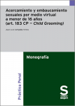 Acercamiento y embaucamiento sexuales por medio virtual a menor de 16 años (art. 183 CP - Child Grooming) vignette