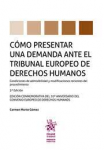 Cómo presentar una demanda ante el Tribunal Europeo de Derechos Humanos vignette