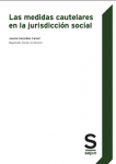 Las medidas cautelares en la jurisdicción social vignette