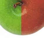 Actualitzacions en matèria de mediació familiar i en els àmbits del dret privat vignette