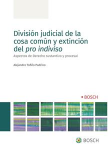 División judicial de la cosa común y extinción del pro indiviso : vignette