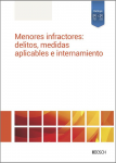 Menores infractores: medidas aplicables e internamiento vignette