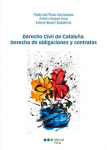 Derecho civil de Cataluña. Derecho de obligaciones y contratos vignette