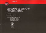 Esquemas de derecho procesal penal vignette